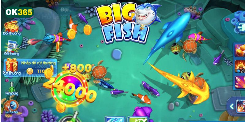 Nên đặt cược trong giới hạn cho phép